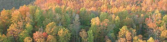 Clay County